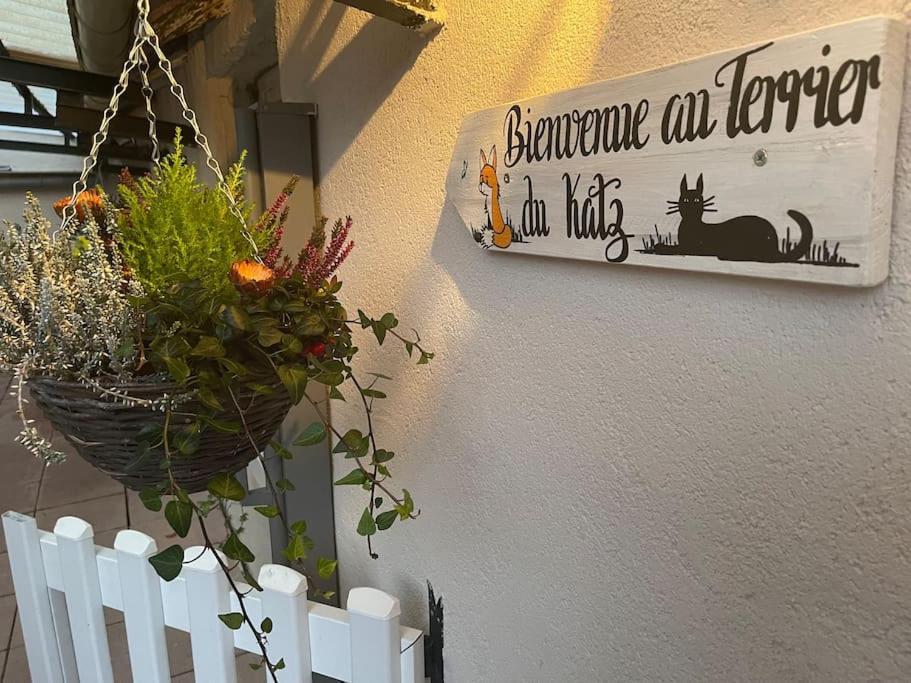 Le Terrier Du Katz Daire Dabo Dış mekan fotoğraf