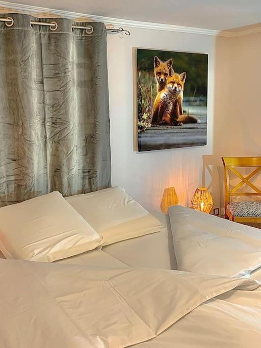 Le Terrier Du Katz Daire Dabo Dış mekan fotoğraf